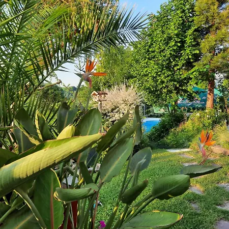 Zahrada Nad Rekou, Restaurace A Kavarna - Parkovani Gratis 4* Zlata Koruna