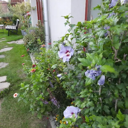 Zahrada Nad Rekou, Restaurace A Kavarna - Parkovani Gratis