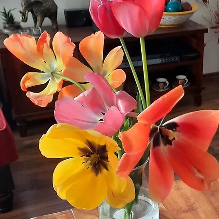 Гостевой дом Zahrada Nad Rekou, Restaurace A Kavarna - Parkovani Gratis 4*