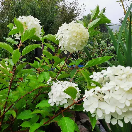 Zahrada Nad Rekou, Restaurace A Kavarna - Parkovani Gratis Zlata Koruna