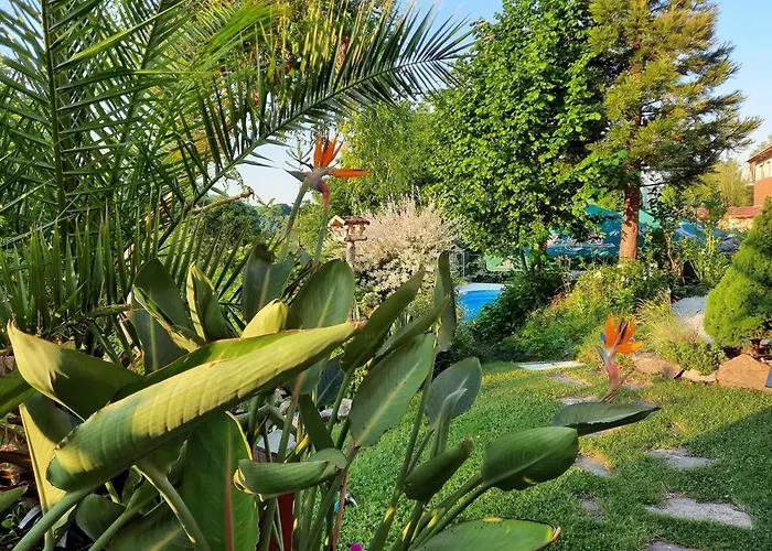 Zahrada Nad Rekou, Restaurace A Kavarna - Parkovani Gratis 4* Zlatá Koruna